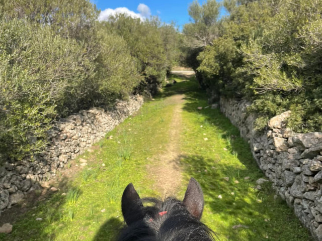 Balade à cheval de 1h pour 2 personnes à Serra-di-Ferro avec Kiffemu