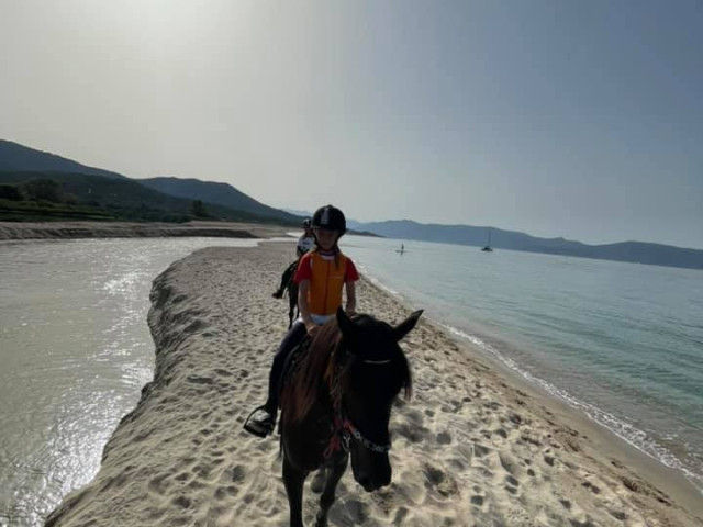 Repas dans une écurie pour 2 ou 3 personnes à Serra-di-Ferro avec Kiffemu