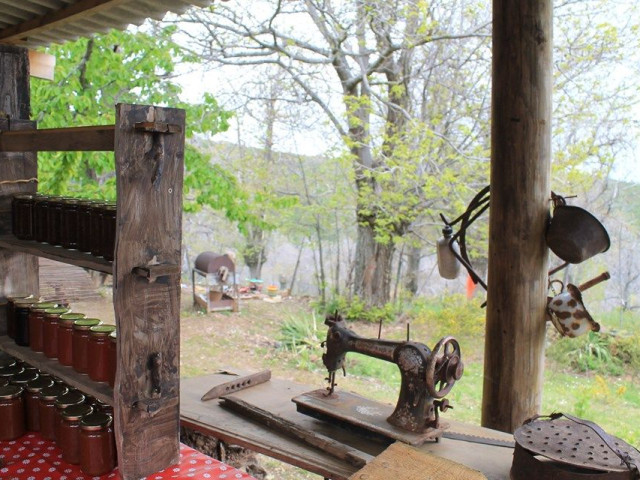 Balade et repas dans une châtaigneraie à Murato avec Kiffemu