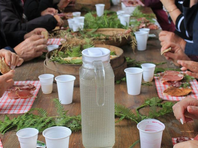 Balade et repas dans une châtaigneraie à Murato avec Kiffemu