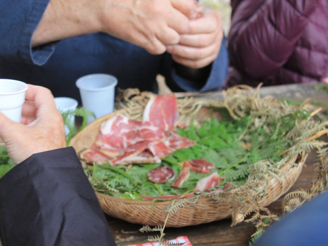 Balade et repas dans une châtaigneraie à Murato avec Kiffemu