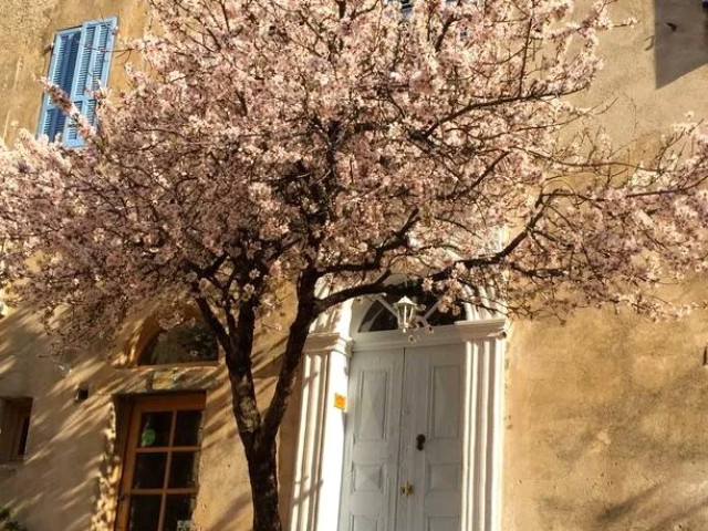 2 nuits avec petit-déjeuners à l'hôtel Casa Musicale à Pigna