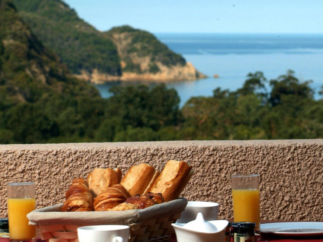 1 nuit et balade en mer vers les calanques de Piana à l'hôtel Capo D'Orto *** à Porto