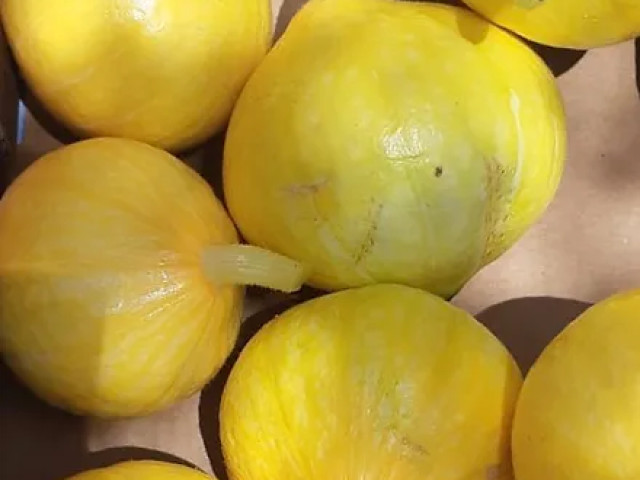 Repas à la Casa Musicale à Pigna