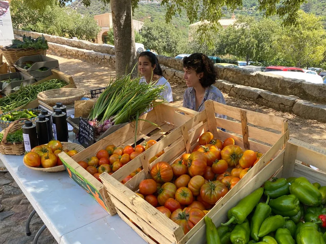 Repas à la Casa Musicale à Pigna