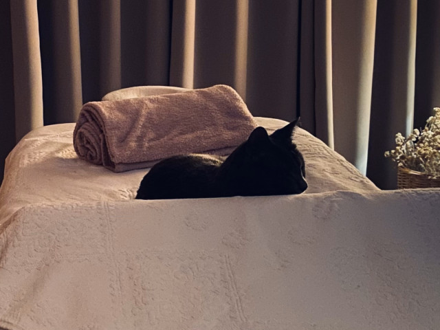 Massage corps complet "Bien-être holistique" à domicile avec Zen i Gatti en Balagne