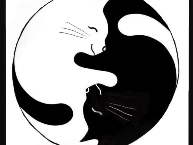 Massage corps complet "Bien-être holistique" à domicile avec Zen i Gatti en Balagne