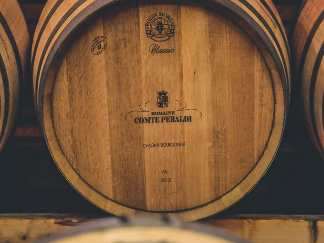 Visite et dégustation de vins au Domaine Comte Peraldi à Ajaccio