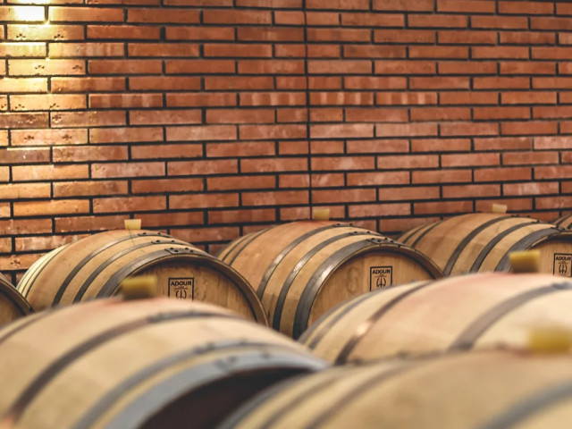 Visite et dégustation de vins au Domaine Comte Peraldi à Ajaccio