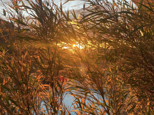 2 nuits à l'hôtel Capo D'Orto *** à Porto