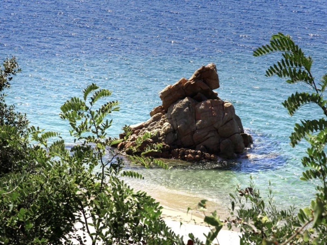 1 nuit en Suite Junior à l'Hostellerie du Moulin des Oliviers ***** & accès au Spa by Clarins à Olmeto plage