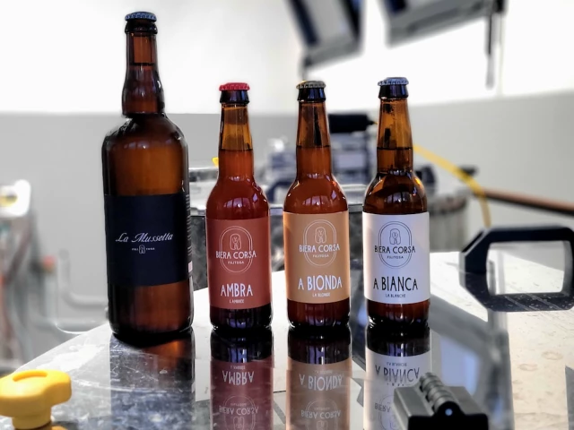 Visite de la microbrasserie pour 5 personnes avec dégustation à Filitosa