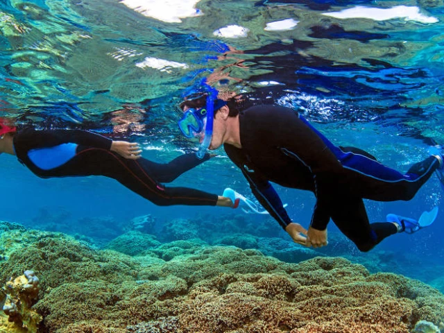 1 snorkeling au club Hippocampe Plongée à Calvi