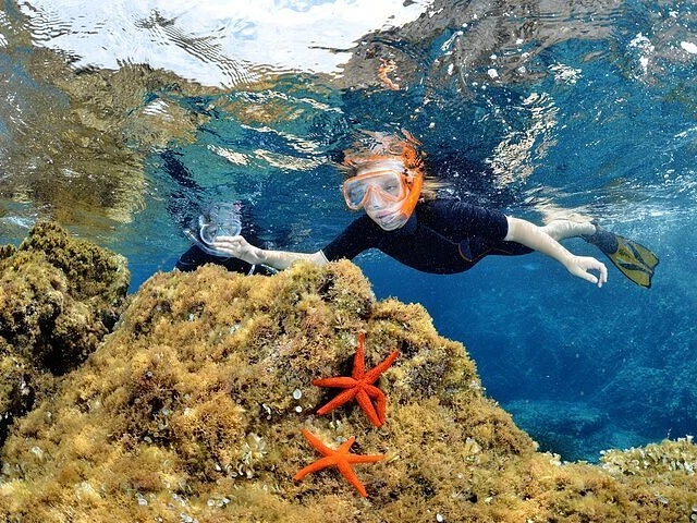 1 snorkeling au club Hippocampe Plongée à Calvi