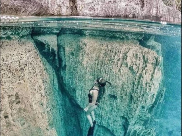 1 snorkeling au club Hippocampe Plongée à Calvi