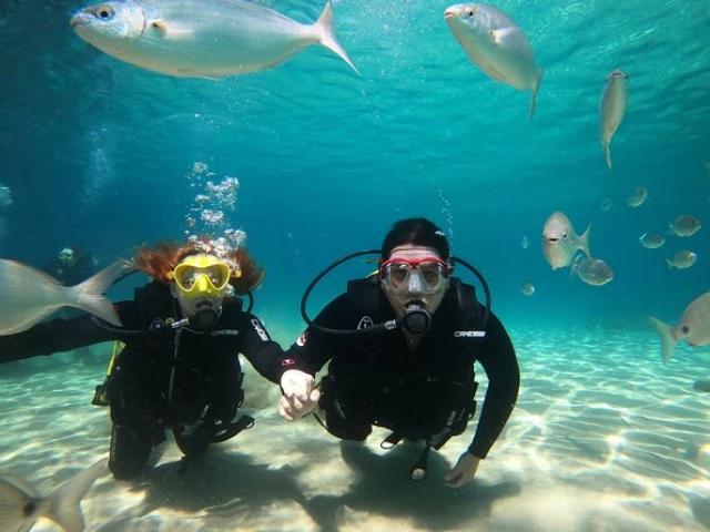 1 Baptême de plongée départ en bateau avec E Ragnole à Ajaccio