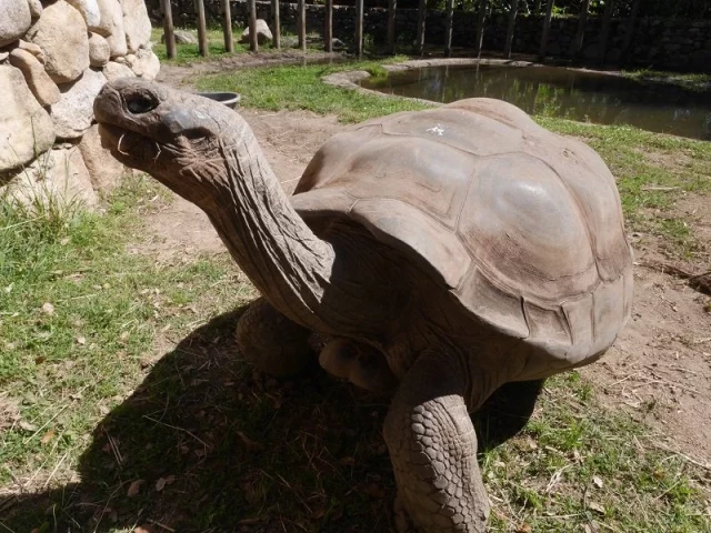 3 entrées au parc A Cupulatta à Ajaccio
