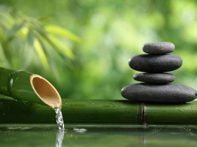 1 cours privé de yoga à Ajaccio