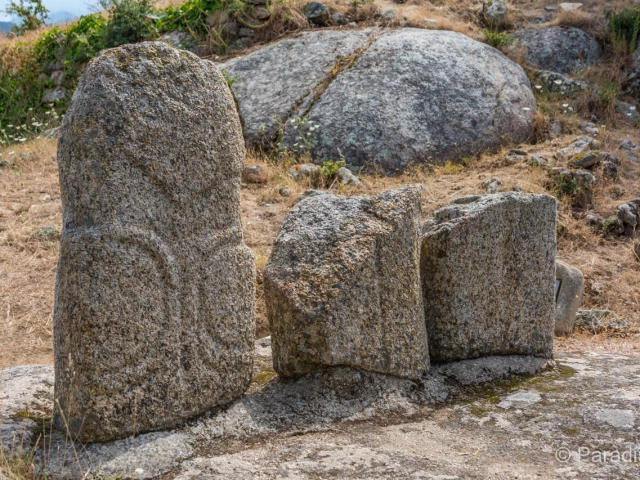 Visite du site historique pour 4 personnes à Filitosa