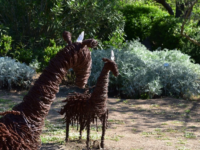 Entrées familiale au Parc de Saleccia
