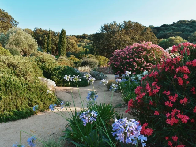 Entrées familiale au Parc de Saleccia