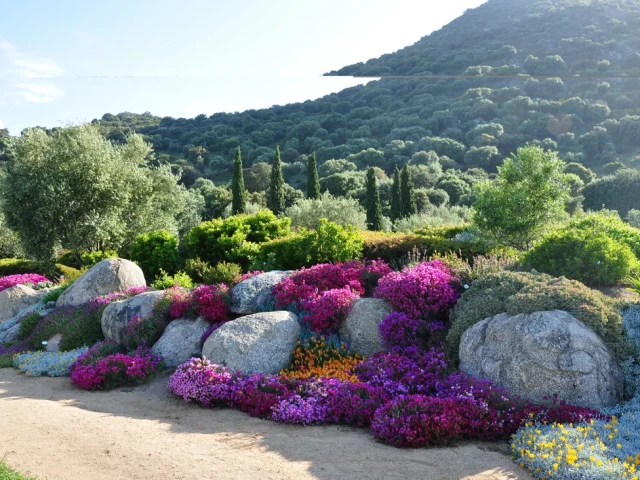 Entrées familiale au Parc de Saleccia