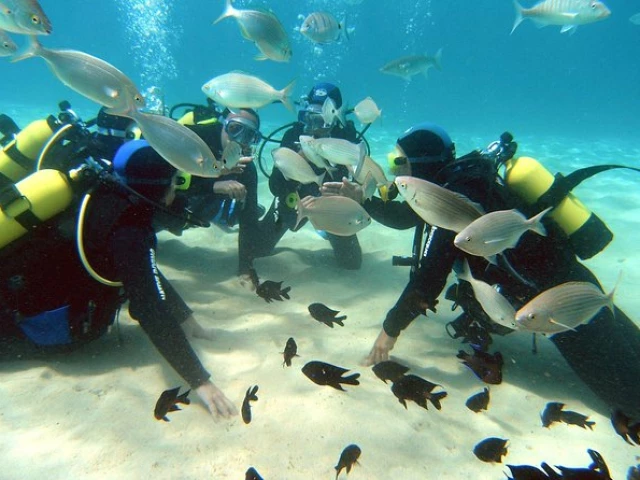 1 baptême de plongée  pour 1 personne avec Corsica Sub à Bastia
